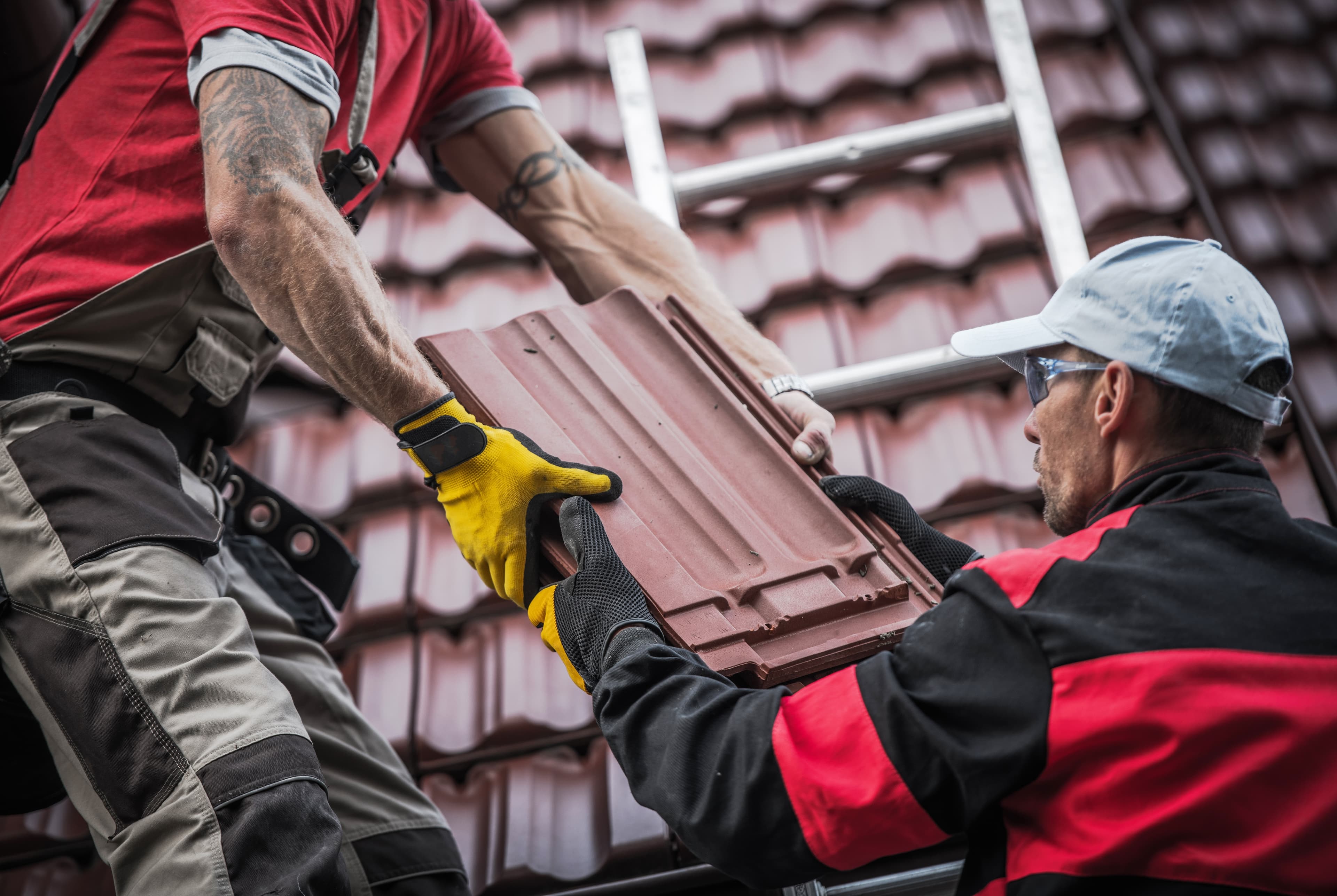 How much does it cost to replace a roof in Tampa